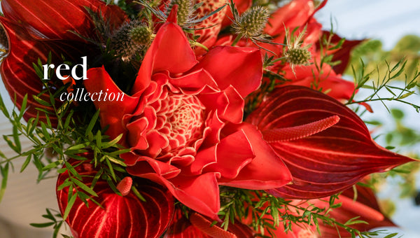 Red Collection