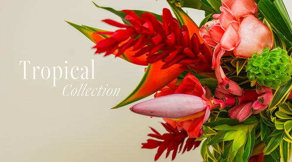 Tropical Collection